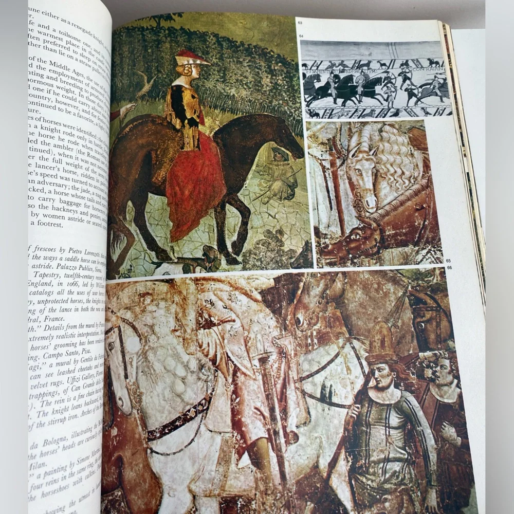 Horses And Horsemanship Through The Ages Luigi Gianoli Hardcover Vintage 1969 - Picture 17 of 17